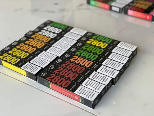 2800 Puffs Disposable E Liquid Electronic Cigarette 1500mAh 10ml Prefilled Vape Pod